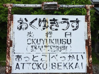 （廃）奥行臼駅