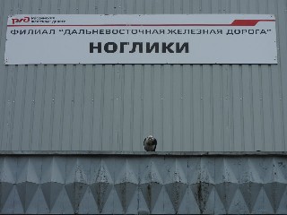 станция Ноглики