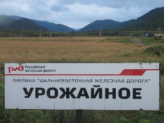 остановочный пункт Урожайная