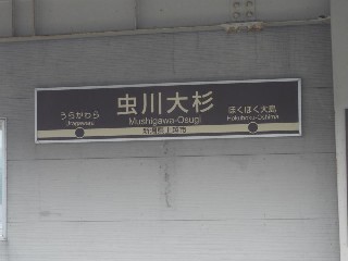 虫川大杉駅