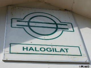Stesen keretapi Halogilat