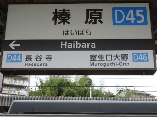 榛原駅 (D45)