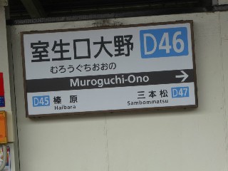 室生口大野駅 (D46)